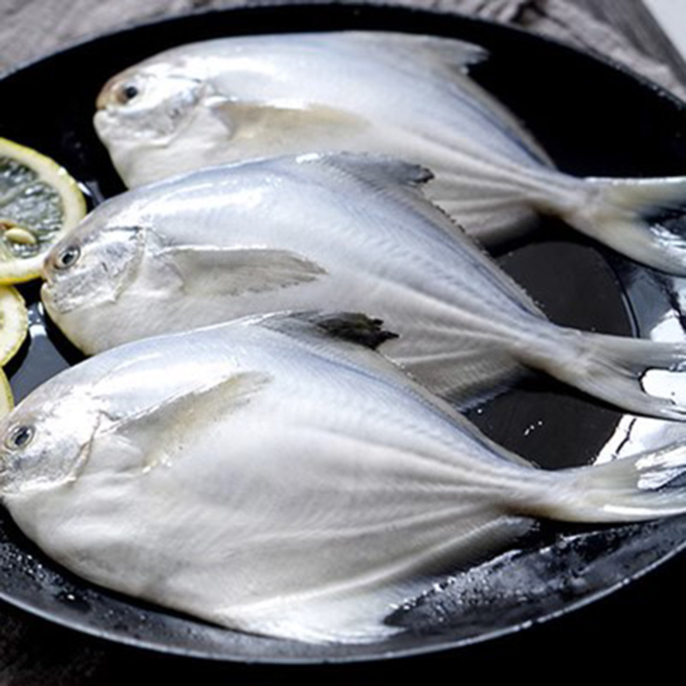 悅生活--鮮市集 印度洋野生帝王級白鯧魚(300~400g±5%/尾)
