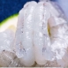 悅生活--鮮市集 海中高蛋白之王無膨發鳳尾極品蝦仁 300g±5% / 盒