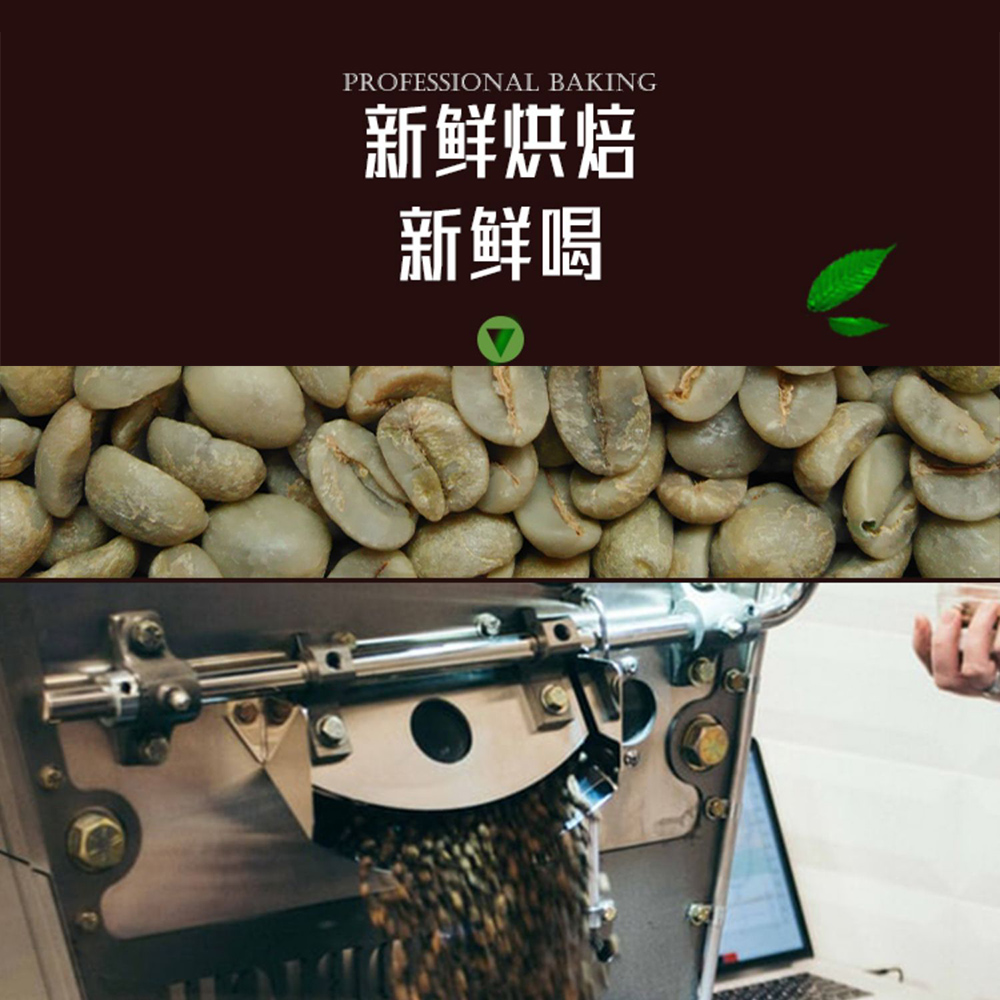 悅生活--職人現烘 水洗頂級G1藝伎 40包濾掛咖啡