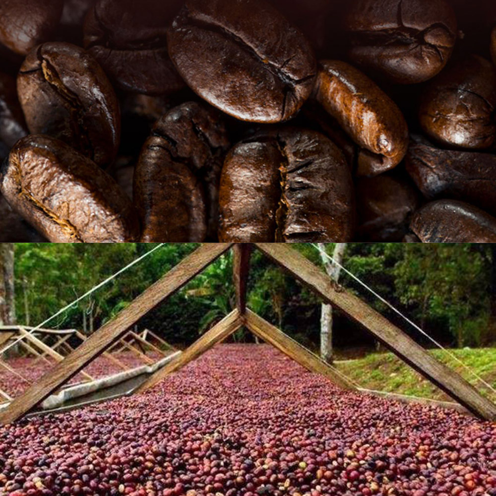 職人現烘系列 咖啡豆