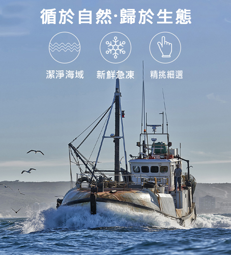悅生活--鮮市集 3A級當季野生船凍軟絲 200g-300g/隻 4包組