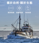 悅生活--鮮市集 3A級當季野生船凍軟絲 200g-300g/隻 4包組